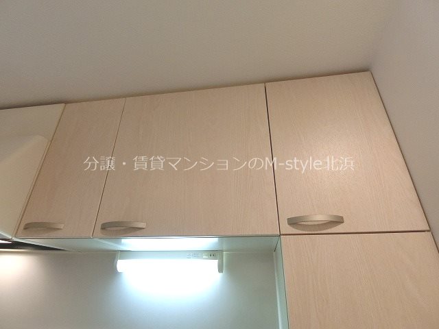 CITY SPIRE心斎橋EAST(旧サルボサーラ) 収納